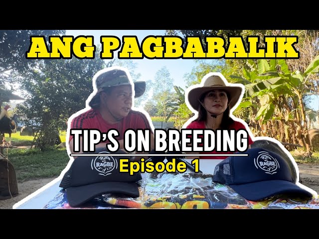 First Show | Tips On Breeding With Mrs RAGBE