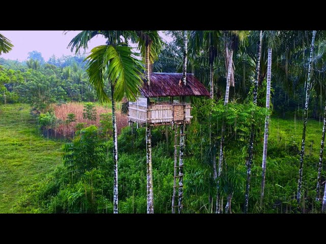 Heavy Rain Camping - Renovate an old Tree House