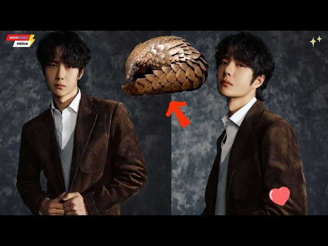 World Pangolin Day Wang Yibo’s Urgent Plea to Stop Extinction!