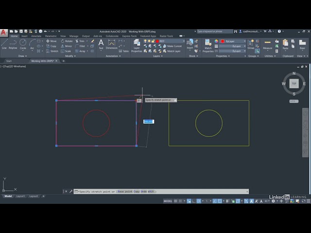 Selection Working with GRIPS and grip editing in AutoCAD