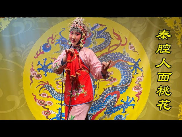 The peach blossom of Qin Opera 秦腔"人面桃花" VR180