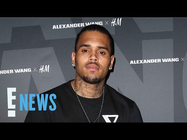 Chris Brown SUES Warner Bros. for $500 Million Over Docuseries | E! News