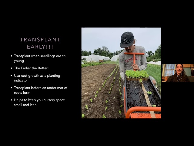 Tips for Transplanting Paperpot Crops