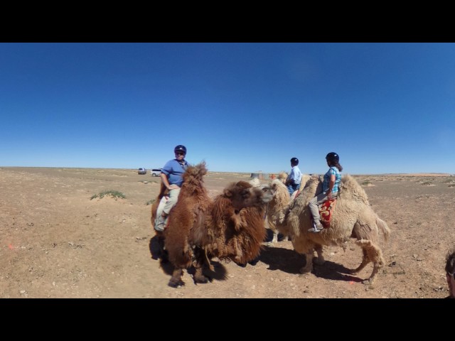 Around the World by Private Jet - the Tropics to the Arctic - in 360