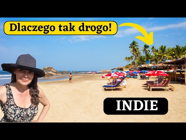 Paragon grozy w Indiach! - Ile kosztuje steak w Goa? - Kamperem do Indii #75