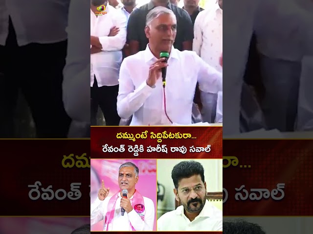 దమ్ముంటే సిద్దిపేటకు రా.. రేవంత్ రెడ్డికి హరీష్ రావు సవాల్ | #HarishRao | #YTShorts | Mango News