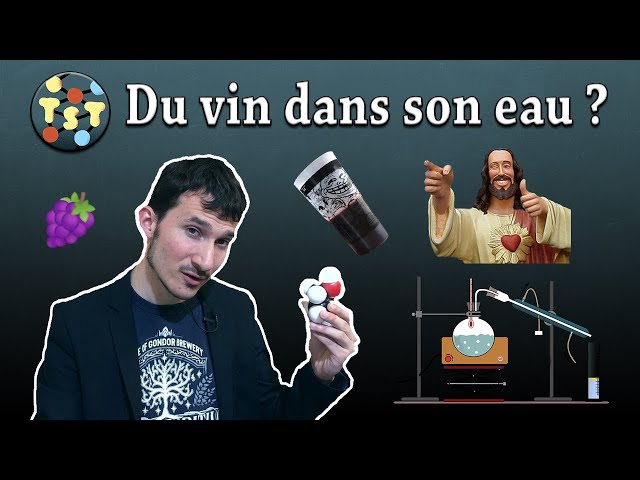 TST#04 - Réaction Biblique : Du vin dans son eau ?