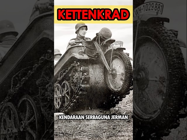 Kettenkrad: A Hybrid of Motorcycle & Tank. Super Cool War Vehicles! ⚔️🔥