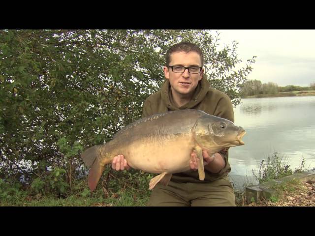 Korda Masterclass 2 - Big Hit Fishing