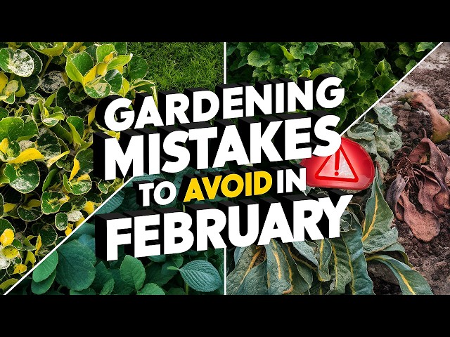 Gardening Mistakes to Avoid in February – Don’t Let These Kill Your Plants!