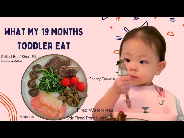 Meal for My19 Months | Eat with Me|19 months|Baby Eating food|Eat healthy|What My 19 Months Baby Eat