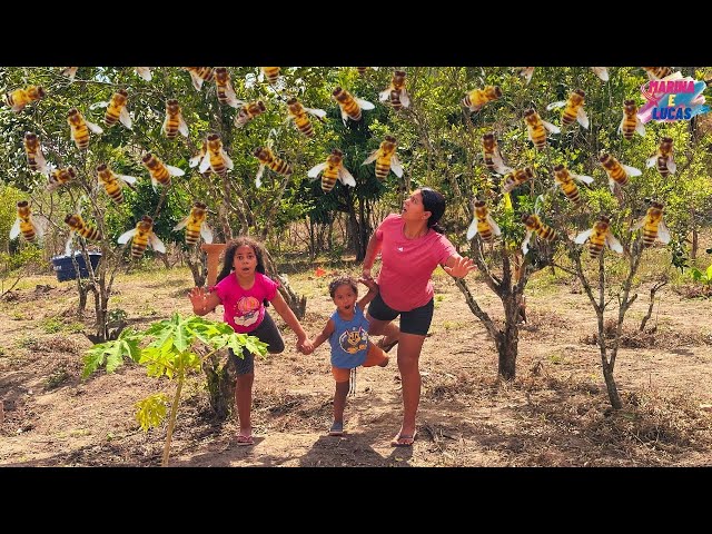 MARINA E LUCAS MEXERAM EM UM ENXAME DE ABELHAS!!!