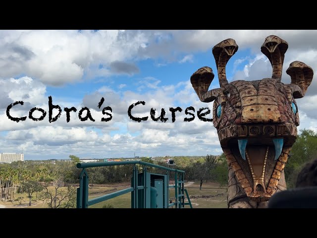 Cobra’s Curse Full Ride POV 4K @ Busch Gardens Tampa