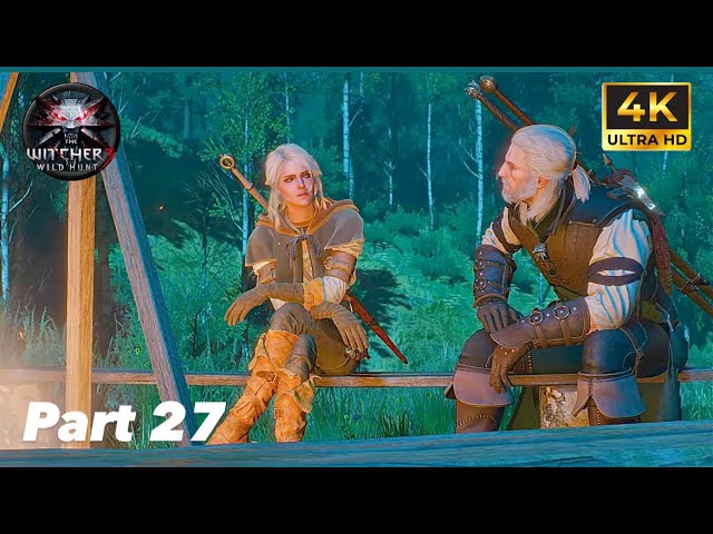 The Witcher 3 : Wild Hunt | Full Gameplay Walkthrough - Another Powerful Witch| Part 27