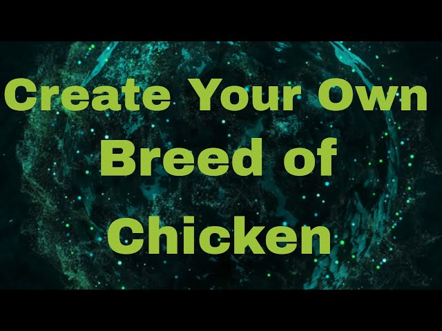 How to make your own Chicken Breed 🐔