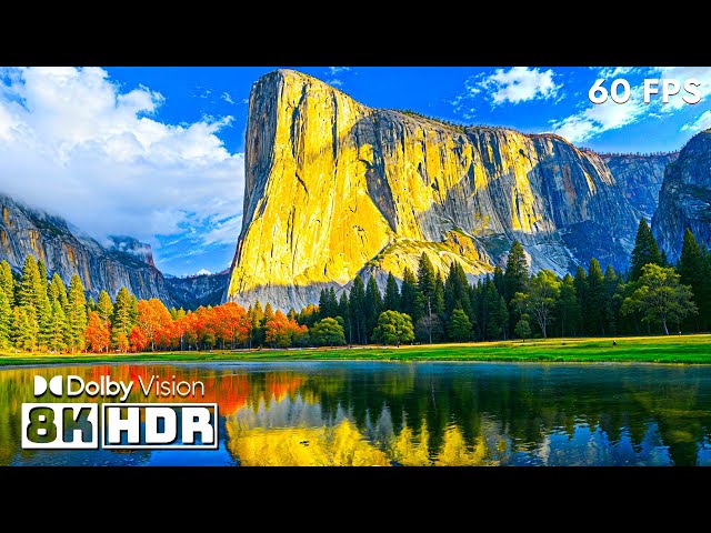 Colorful World Wonders in 8K HDR | Dolby Vision™