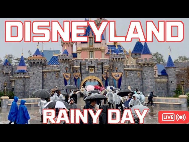 Rainy Days are the BEST Days at Disneyland!