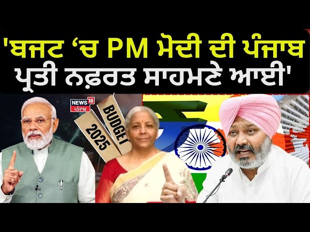 Harpla Cheema on Budget | 'ਪੀਐੱਮ ਮੋਦੀ ਦੀ ਪੰਜਾਬ ਪ੍ਰਤੀ ਨਫ਼ਰਤ ਸਾਹਮਣੇ ਆਈ' | Budget 2025 | News18 Punjab