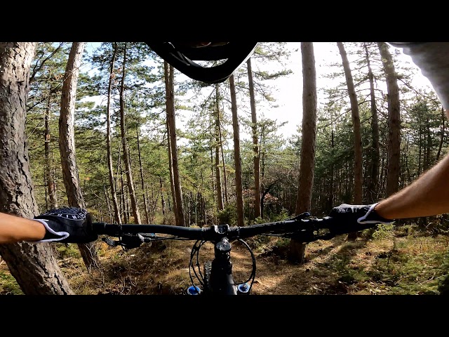 MTB Trail: Trainspotting