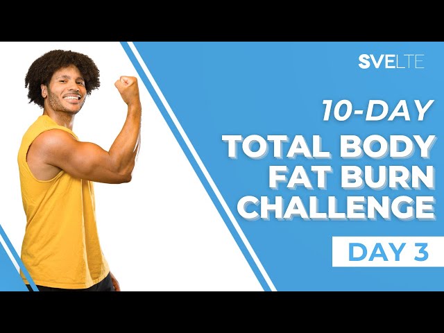 10-Day Total Body Fat Burn Challenge - Day 3 | Toned Arms