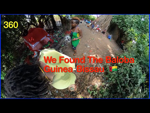 African Tigress and I Find Baloba In The Woods, Guinea-Bissau 🇬🇼  Ep 137