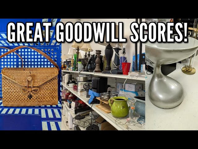 IT'S COMING HOME WITH ME! | GOODWILL THRIFT SHOPPING & HAUL | THRIFTING IN 2024