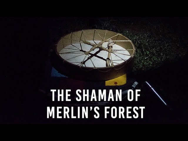 TARGO: The Shaman Of Merlin's Forest