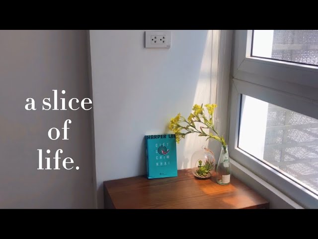 cleaning vlog: a slice of life ⛅️🍃