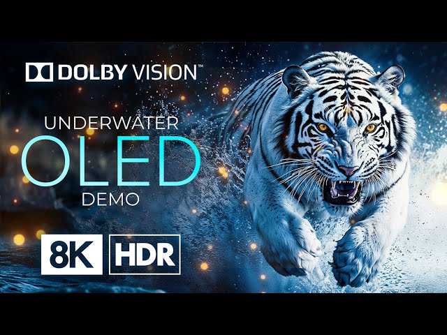 OLED 8K HDR 60fps with Dolby Vision - Amazing Colors of Nature