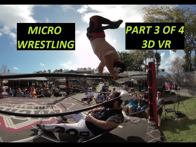 Micro Wrestling 3D VR (Part 3 of 4)