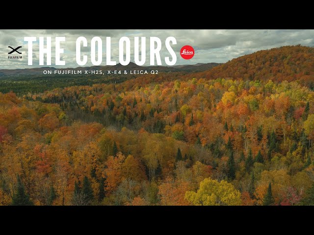 Relaxing FALL COLOURS Photography in Canada | FUJIFILM X-H2s | X-E4 | LEICA Q2