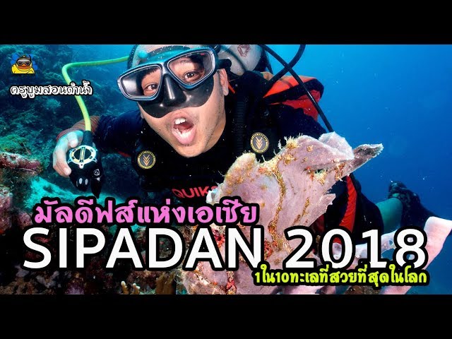 T3B Review Diving Sipadan Borneo Divers Mabul Resort [Thai]