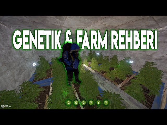 Rust Genetik & Farm Rehberi