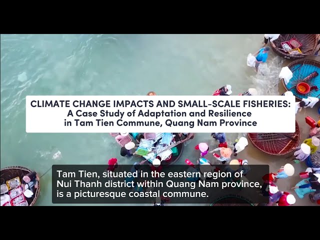 Climate Change Impacts and Small-scale Fisheries: A Case Study of Adaptation and Resilience, Vietnam