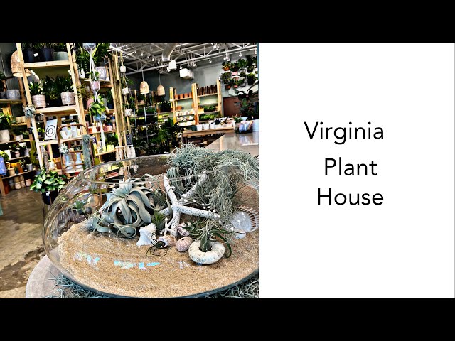 The Plant House in Virginia Beach