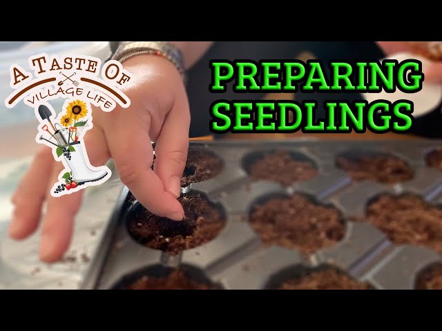 Village life - Preparing our Tomato, Peppers and cucumber Seedlings to plant in Bulgarian village