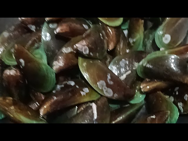 Brushing Green Mussels#cleaning#bivalve mollusk#asmr #viralshortvideo