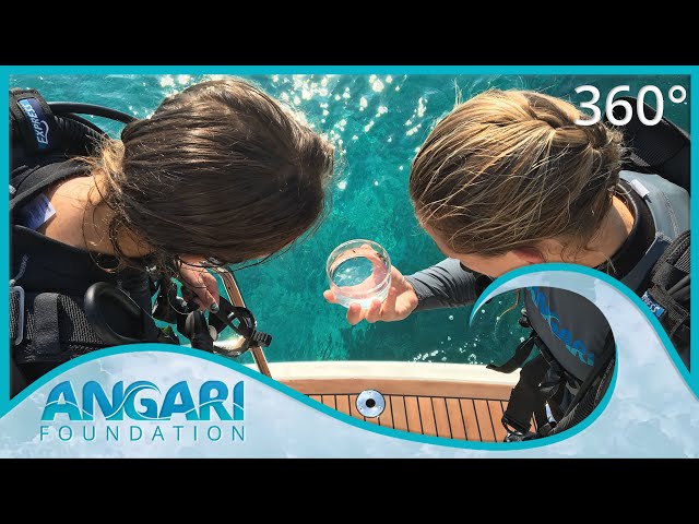 ANGARI Foundation Virtual Reality Pilot