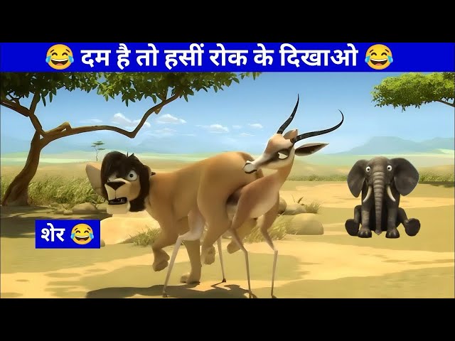 हिरण ने शेर का बुरा हाल कर दिया 😂|| Funny Video || Meme Dubbed @Rojiyas @PARROTDIPANKAR