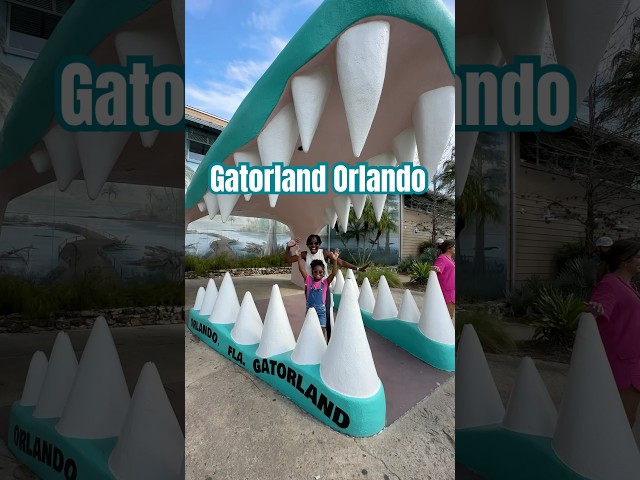 Family Fun Day at Gatorland Orlando!