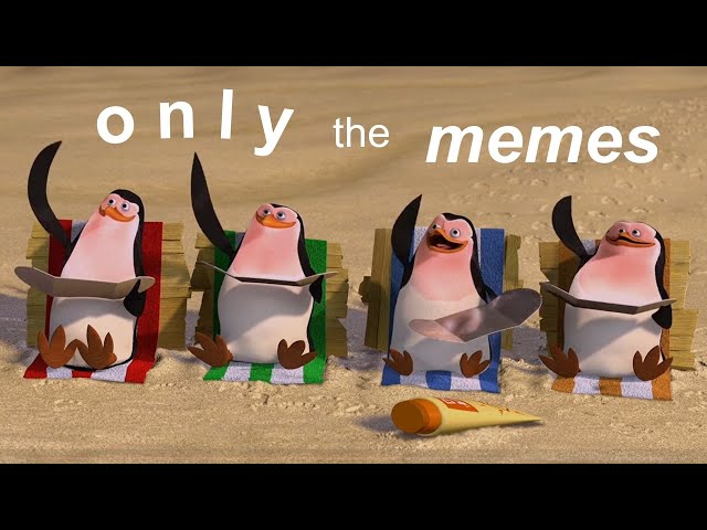 madagascar except it's just the memes