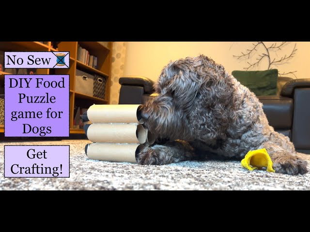 DIY Brain Games for Dogs! Homemade food puzzle toy - Tube game