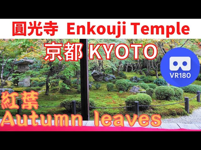 VR180  Japan KYOTO Enkoji Temple "Autumn Japanese garden" 京都観光 圓光寺 "紅葉の庭 & 枯山水"