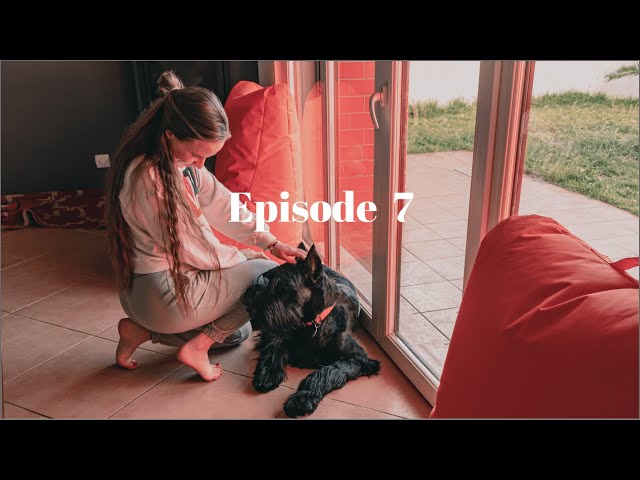 Life with Giant Schnauzer | Ep. 7 | Toys, food & walk