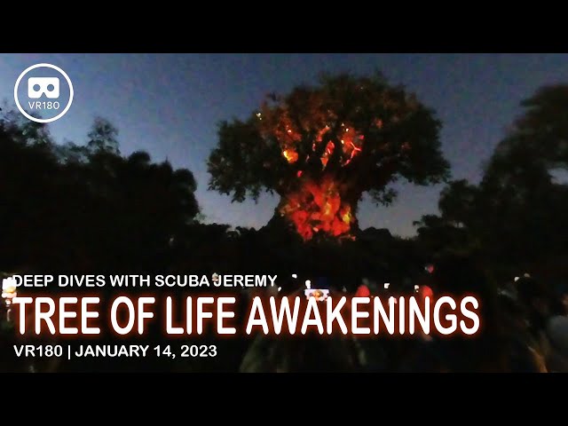 Tree of Life Awakenings - VR180