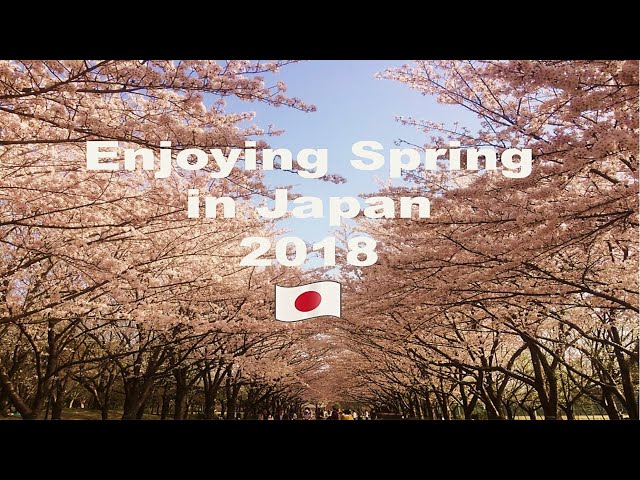 Beautiful spring at Japan / Enjoying spring in Japan