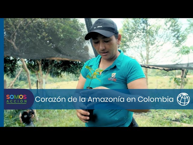 Corazón de la Amazonía en Colombia