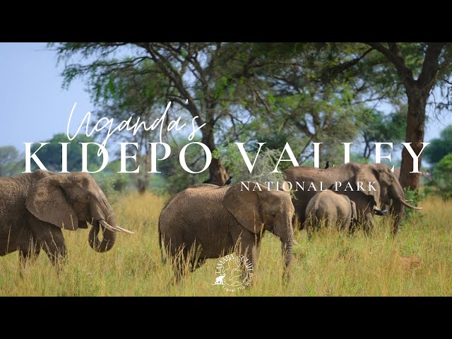 Kidepo Valley National Park, one of the most beautiful national parks in Uganda…!