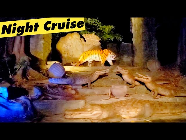 Night Ride on the Jungle Cruise at Disneyland in California with the FUNNIEST Skipper