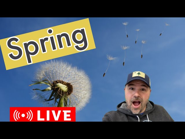 ADVANCED ENGLISH LESSON | SPRING IS IN THE AIR